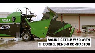 Baling cattle feed in Belgium | Maize/corn silage baling | Orkel Dens-X compactor