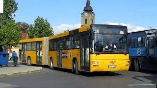 Péntek délután a buszállomáson