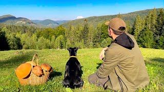 In the Carpathians for 24-Hours for mushrooms. Cooking them. Staying in the mountain house