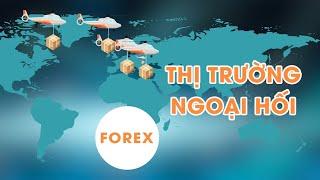 Forex Là Gì? 3 Phút Để Hiểu Về Thị Trường Ngoại Hối | INVEST318