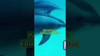 Paws and Claws Ultimate Animal Race #shortsfeeds #animalrace #pawsnclaws #animallovers