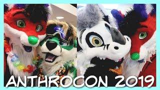 Lots Of Furry Hugs! :3 || Anthrocon 2019 Vlog