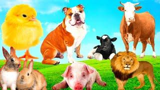 Lovely Baby Animals | Buffalo, Dog, Pig, Lion, Rabbit, Camel, Cow, Fox  Animals Sound..
