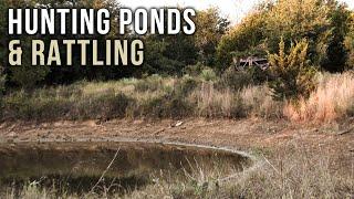 Hunting Ponds and Rattling Whitetail Deer