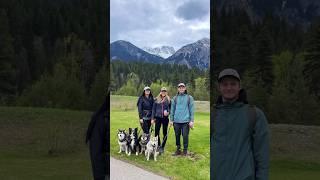 The BEST picnic spot in Mount Robson Provincial Park  #roadtrip #hiking