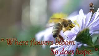 # art one1 # flowers # nature # hony bee # youtube # what's up # status # short.....