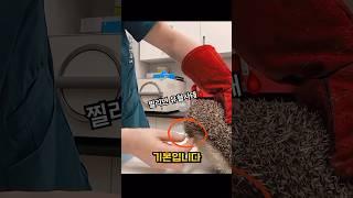 특수 동물병원에선 기본이라는 기술