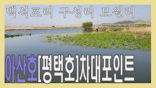 [4K] 아산호(평택호) 차대포인트 창용리 구성리 백석포리 모원리 수로 노지 차박 캠핑 낚시ㅣ산란기 봄 가을 대물 낚시