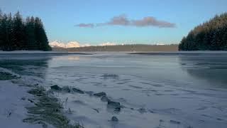 Bartlett Cove Lagoon Icy Relaxation - Glacier Bay National Park