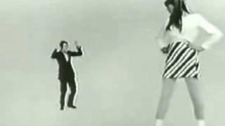 mini, mini, mini - jacques dutronc ft. francoise hardy (fh blues 1966)