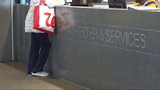 Central Iowa Shelter & Services sees busiest year on record, plans on expanding services