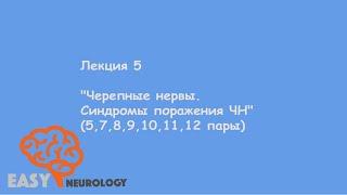 Общая неврология.Лекция 5 "Черепные нервы. Синдромы поражения ЧН" (5, 7, 8, 9, 10, 11, 12 пары)