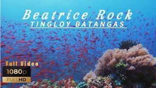 #21 Beatrice Rock [ Tingloy Batangas] The most advance diving spot