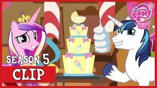 Shining Armor and Cadence are Having A BABY! (The One Where Pinkie Pie Knows) | MLP: FiM [HD]