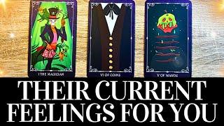 PICK A CARD Their CURRENT FEELINGS For YOU!  They want you to know THIS!  Love Tarot Reading