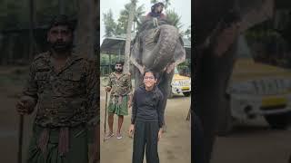 Elephant Ride | Elephant Salute | Thekkady | Kumliy