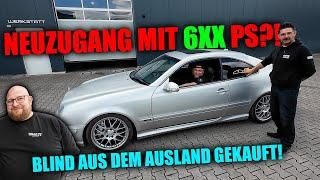 Neuzugang mit 6XX PS? - Blind im Ausland gekauft - bei Rafael abgeholt!