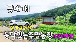 No.800 급매) 무안면 농막있는 주말농장 밀양토지매매 #밀양촌집매매 #밀양전원주택매매 #밀양부동산