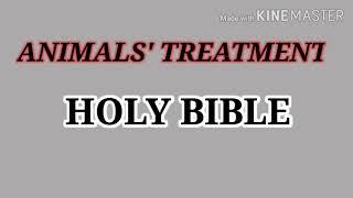 Animals' Rights in Bible