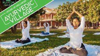 Ayurvedic Village I Welcome To The World of Wellness