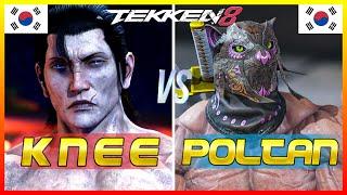 Tekken 8 ▰ Knee (Dragunov) Vs Poltan (King) ▰ Ranked Matches