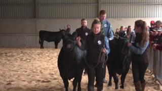 The World Angus Forum 2017 - Day 18