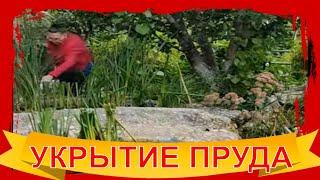 Как укрыть от листопада маленький пруд с рыбой? Подготовка пруда к зиме. Часть 2 #shorts
