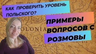 Реальные вопросы и ответы с экзамена на Карту Поляка. Как проверить свой уровень польского, способы.