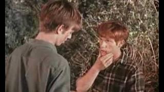 The Waltons - Ben and Jim Bob Fight