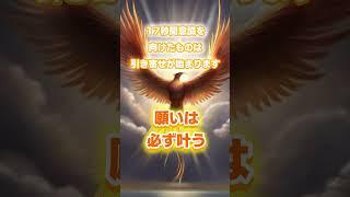 【17秒の法則】願いは必ず叶う #引き寄せの法則 #アファメーション #願いが叶う