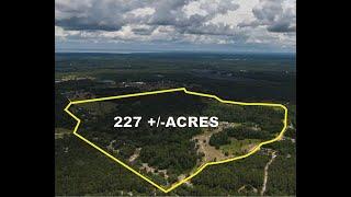 Pierson Recreational Retreat | 227 acres For Sale in Volusia County, Florida