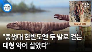 "중생대 한반도엔 두 발로 걷는 대형 악어 살았다" / YTN 사이언스