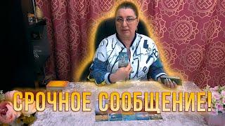 ТЫ ТАКОГО ЕЩЕ НЕ СЛЫШАЛА! ОТ КОГО ТЕБЕ СРОЧНОЕ СООБЩЕНИЕ?