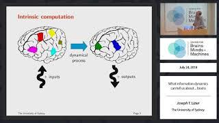 What information dynamics can tell us about ... brains