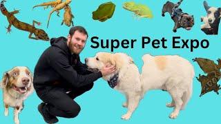 Super pet expo vlog walking the show floor