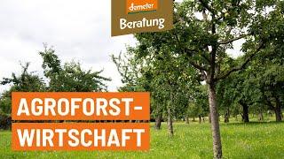 Agroforstwirtschaft | Säule einer zukunftsfähigen Landnutzung