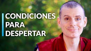 Meditación Paso a Paso | Lama Rinchen Gyaltsen [Sesión 3]