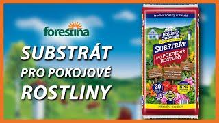 Hoštický substrát pro pokojové rostliny