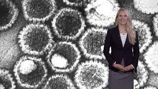 Britt Glaunsinger (UCB, HHMI) 1: Viruses Reveal the Secrets of Biology