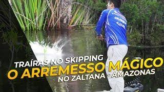 Traíras no Skipping: O arremesso mágico [Barco Zaltana-AM]