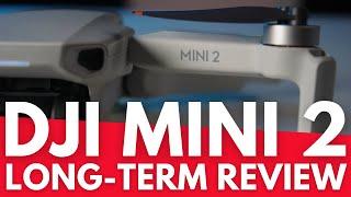 DJI Mini 2 Long-Term Review - Still the King of the Sky in 2021? - Geeksvana