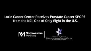 Lurie Cancer Center Receives Prostate Cancer SPORE Grant Renewal