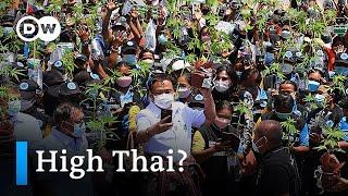 Thailand becomes the first Asian country to partially legalize Marijuana | DW News