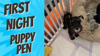 Where Should Your Puppy Sleep On Their First Night: Crate or Puppy Play Pen?