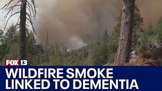 UW study links wildfire smoke with increase dementia risk | FOX 13 Seattle