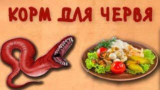 КОРМ для ЧЕРВЯ. Разведение Червя (По новому)!