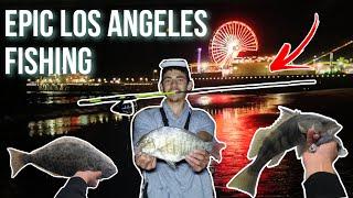 Los Angeles Pier and Surf Fishing! (Sand Bass, Halibut, Surf Perch, Croaker, Mackerel, Guitarfish!)