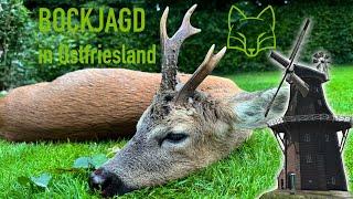 Bockjagd in Ostfriesland