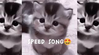 элджей - ребёнок рождённый сиять (speed up/speed song)