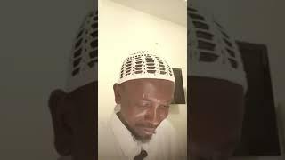 Maganar Abubakar Madatai Ridda ce a Musulunci-Sheikh Baffa Hotoro ya yi Raddi.